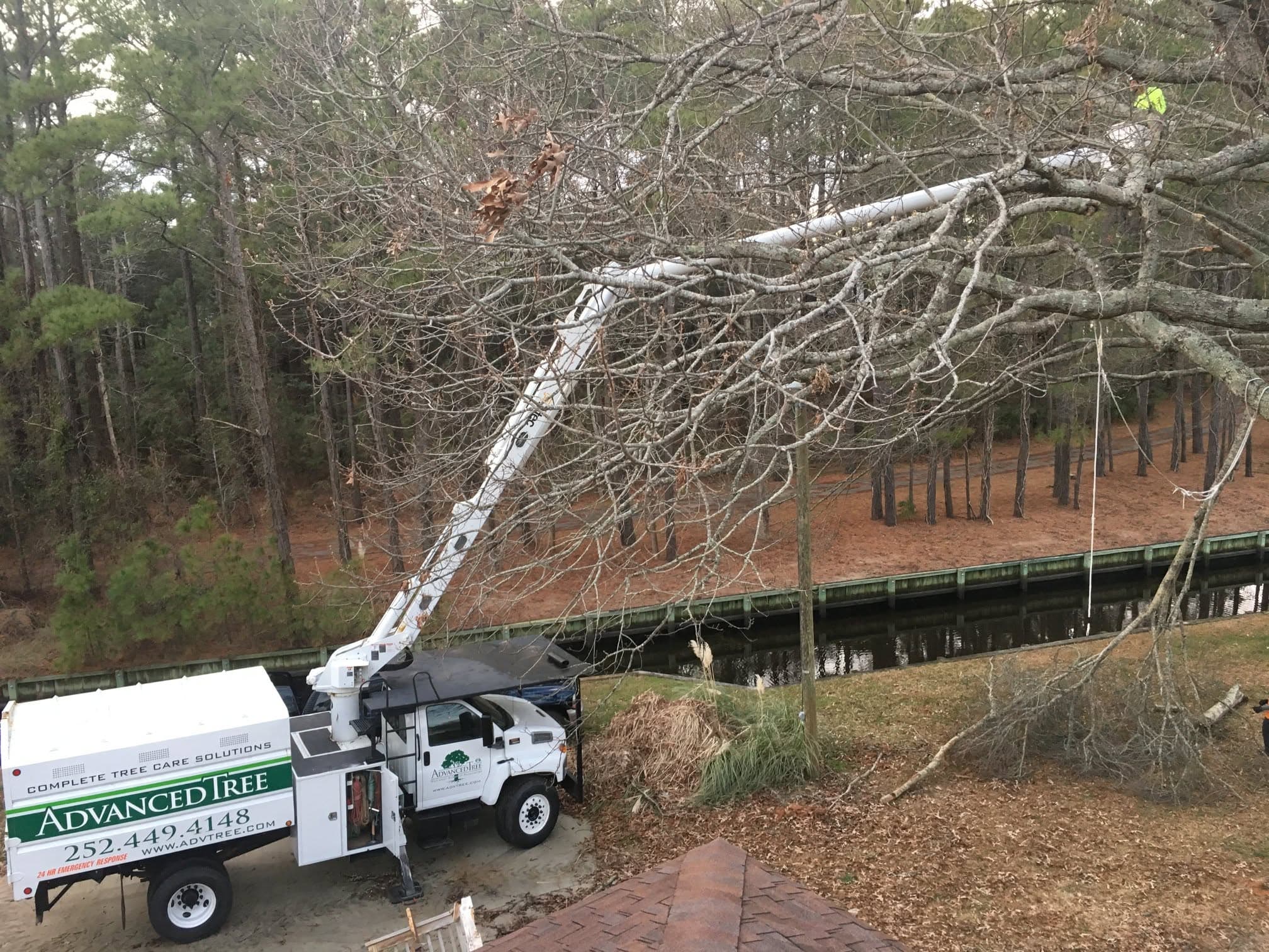 Advanced Tree crane supporting a technical tree removal